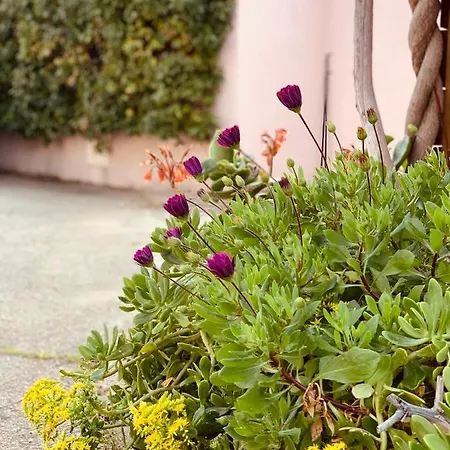 Prázdninový dům Les Couchants Porticcio (Corsica)