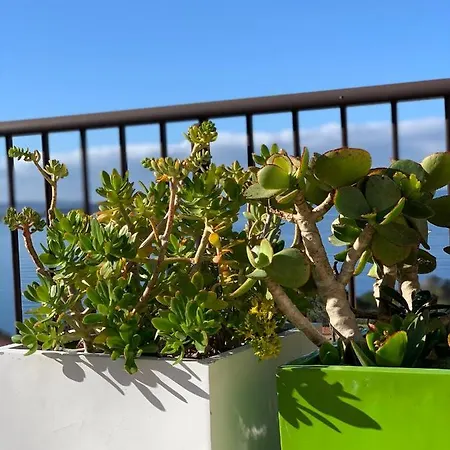 Les Couchants * Porticcio (Corsica)