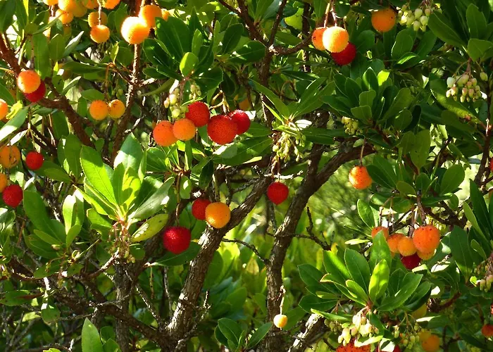 Les Couchants Casa vacanze