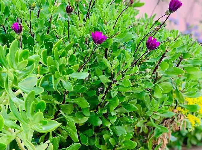 Les Couchants Casa vacanze *