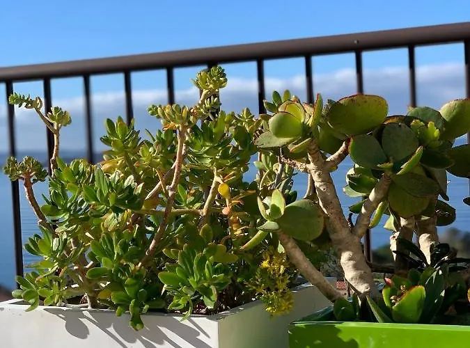 Les Couchants * Porticcio (Corsica)